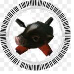 現在の画像に代替テキストがありません。ファイル名: 90db765cb440fcbdfb217605faf09a2d.jpg